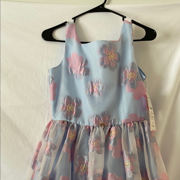 Floral Blue and Pink Dress - Picture 3 of 8